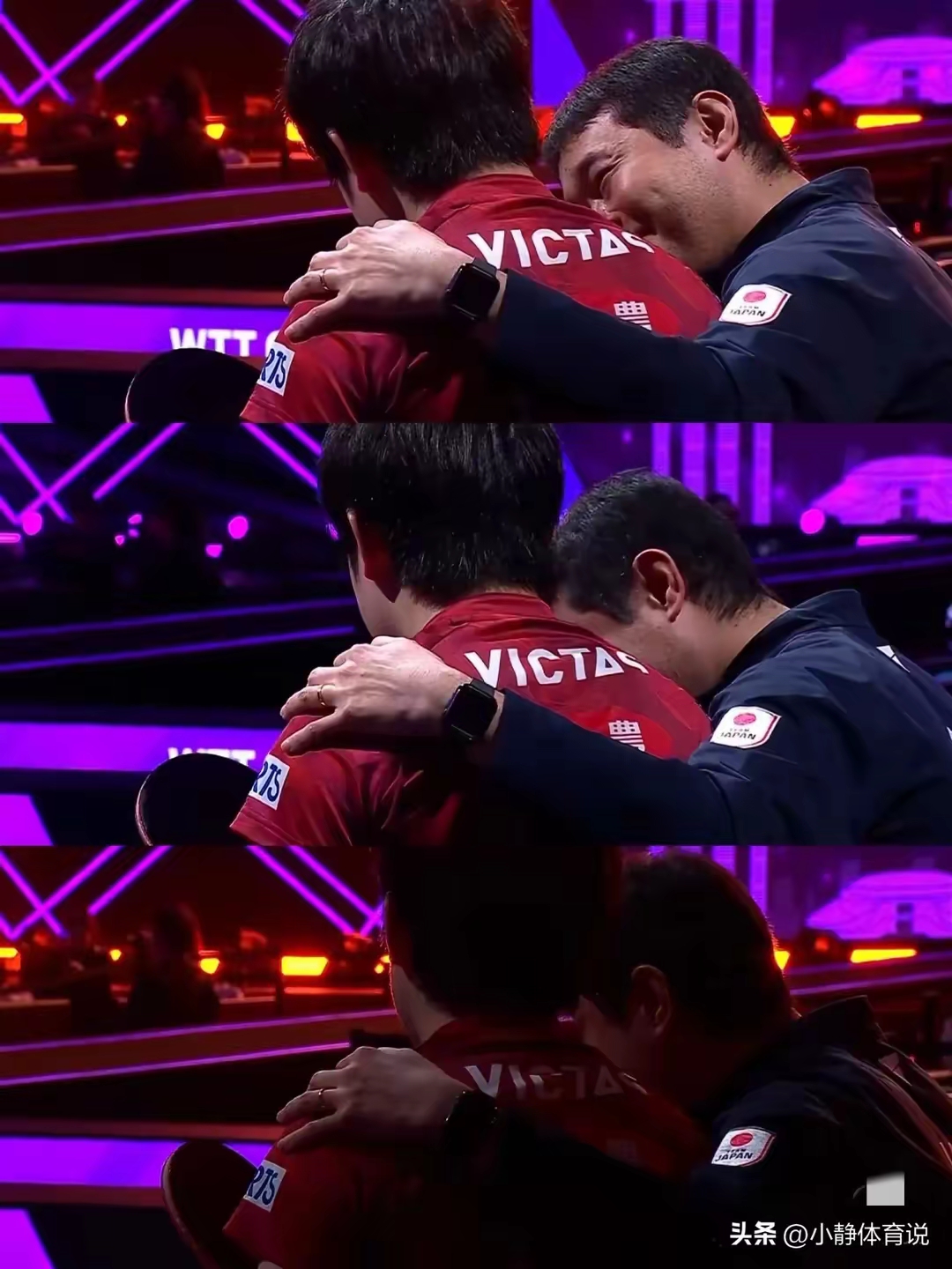 法国队翻盘中国队，张本智和统治全场